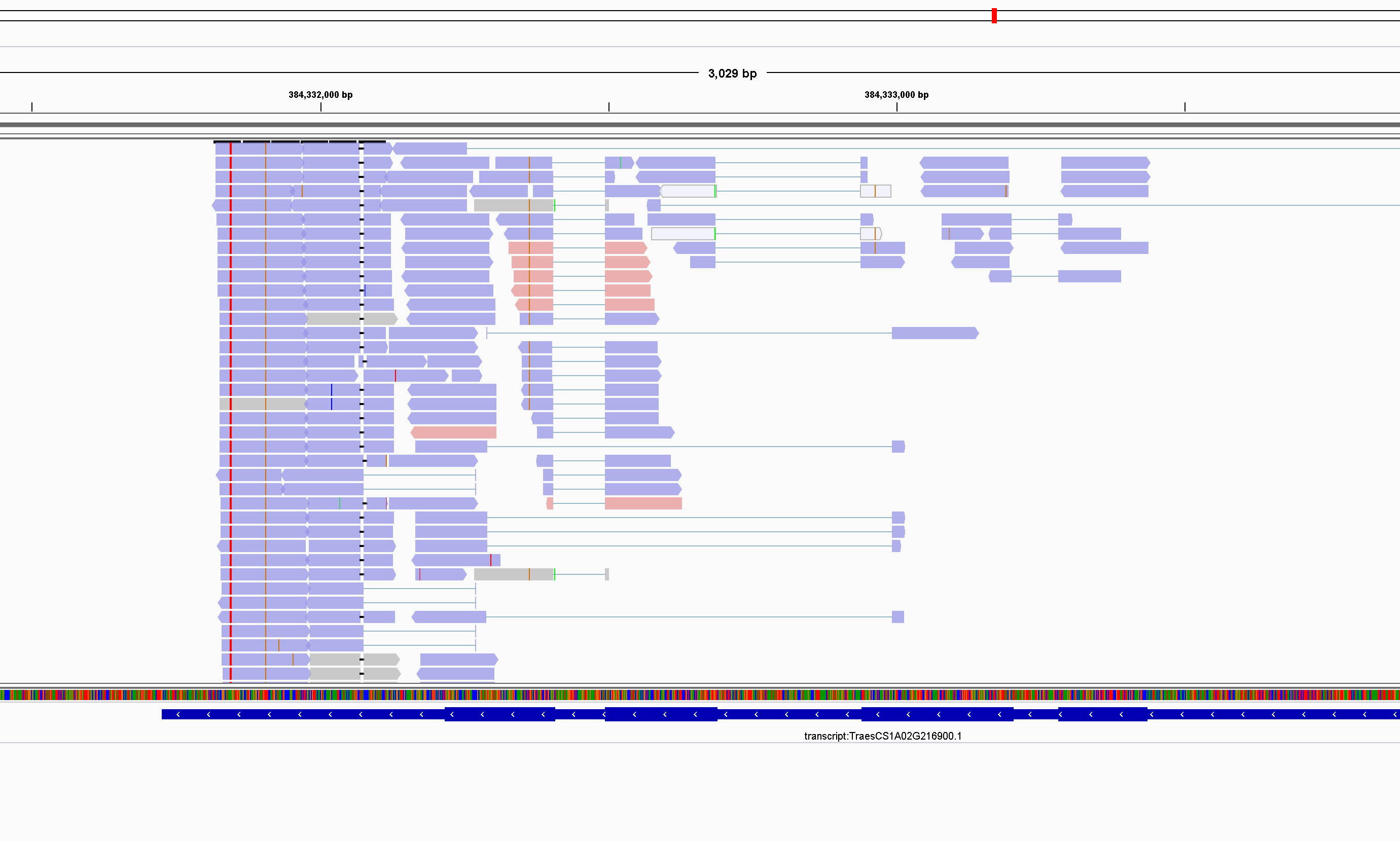 Reverse_Strand_Gene